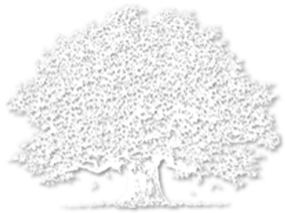 Robert Scott Nance, D.D.S., M.S., P.A. Logo White Version